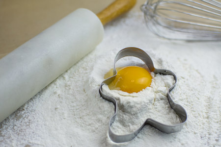 tree branches covered by moos lichen,mushrooms,fungiの写真素材