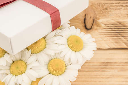 beautiful daisy flowers bouquetの写真素材