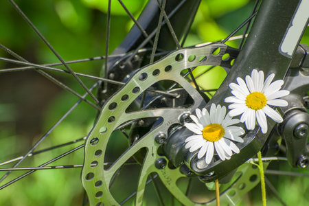 bicycle with daisys