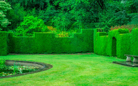 photo of garden with green hedge,pond in rainy dayの写真素材