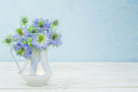 beautiful blue cornflowerの写真素材