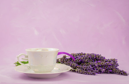 beautiful  summer  lavender flower  on pink background