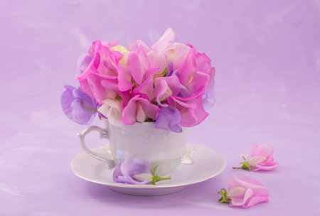 beautiful sweet peas flowers on pink background