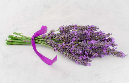 beautiful  summer  lavender flowerの写真素材