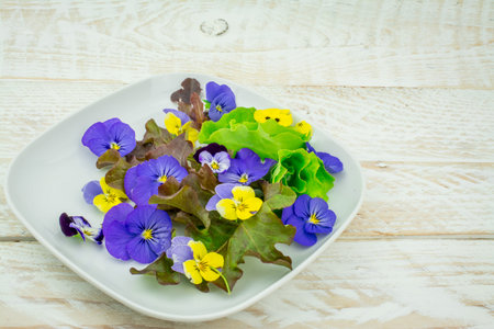 healthy food ,fresh home made salad with edible flowersの写真素材