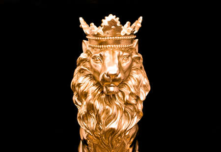 lion statue on blackの写真素材