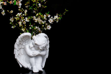 white flowers on blackの写真素材
