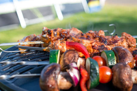 grillet meat and vegetables on grill in campsiteの写真素材
