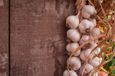 arrangement of garlic and herbs  displayの写真素材