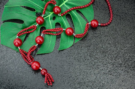 black  sexy background with red knickersの写真素材