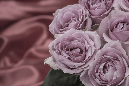 Greeting card with beautiful fresh roses and copy space.の写真素材