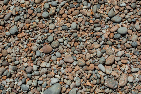 red sandstones of the Ladram bay on the English Channel coast