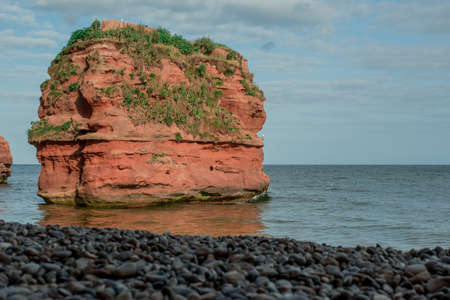 red sandstones of the Ladram bay on the English Channel coastの写真素材