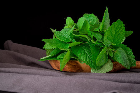 Lemon Balm (herb) tied in a bunch on white backgrioundの写真素材