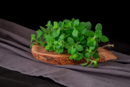 Lemon Balm (herb) tied in a bunch on white backgriound
