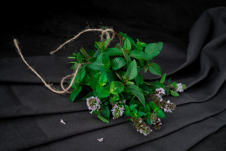 Bouquet of fresh oregano on a black background.の写真素材