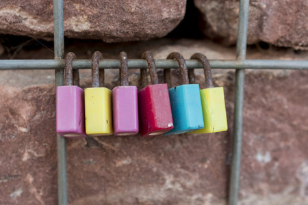 dahlia blooms in a sunny autumn day in the gardenの写真素材