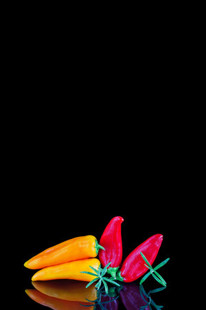 Pile of mixed red, yellow, orange and green peppersの写真素材