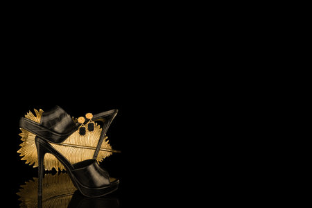 Black women's shoes on a black background. Space for text.の写真素材