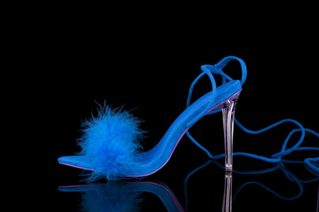 High heel shoes with blue feather isolated on black background with reflection.の写真素材