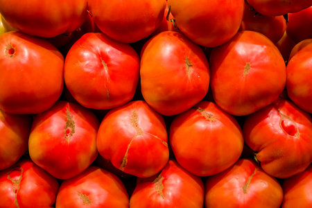 Ripe red tomatoes on the counter in the supermarket. Vegetables backgroundの写真素材
