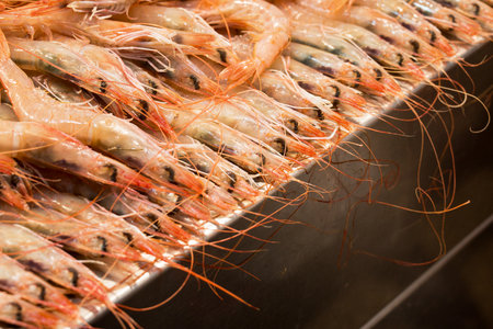 Close up of fresh prawns on display at a seafood marketの写真素材