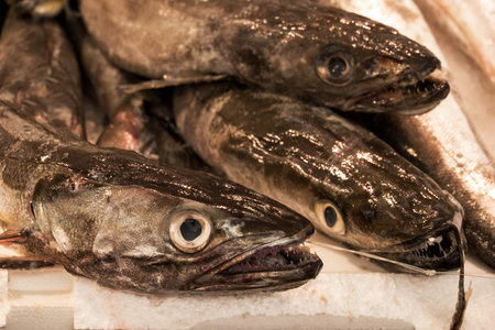 Fresh fish on display at a fish market in Paris, France.