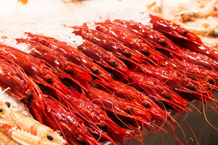 Fresh raw red prawns on ice for sale in fish marketの写真素材