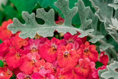 Red and green flowers background. Floral background. Red and green flowers background.