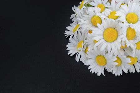 Bouquet of daisies on a black background. Place for text.の写真素材
