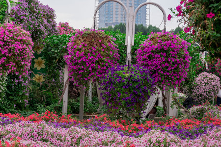 Beautiful flower garden in the city of bangkok thailand.の写真素材