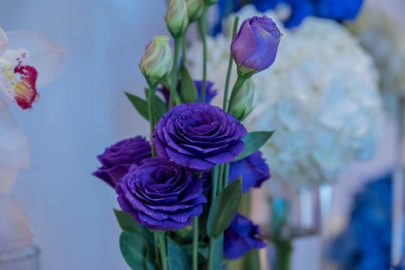 Bouquet of purple and blue roses and orchids.の写真素材