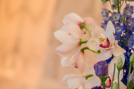 Beautiful orchids in a vase on the table.の写真素材