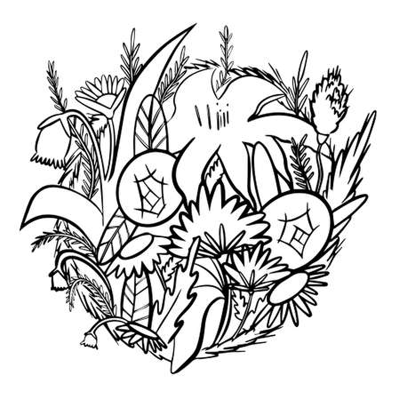 Flower line illustration in vector isolated on white backgroundのイラスト素材