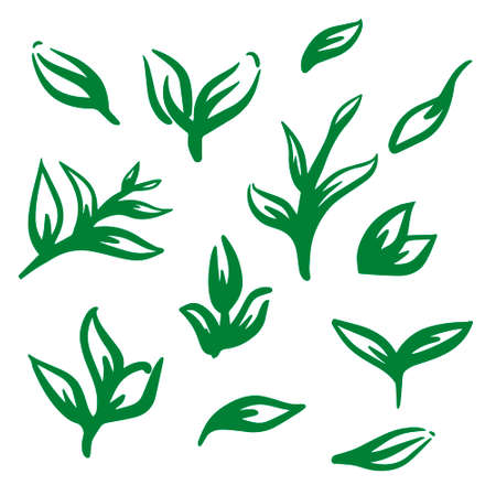 isolated abstract leaves icons set on white backgroundsのイラスト素材