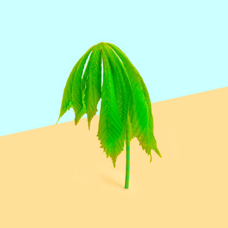 Tropical green leaves in the shape of palm tree. Trendy minimal nature summer concept.