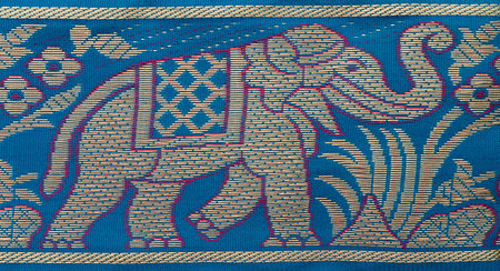 Indian embroidery of elephantの写真素材