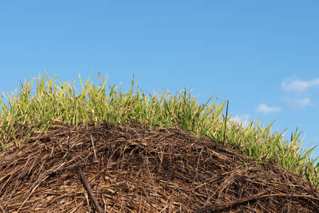 Curved grass/skybackground - hay baleの写真素材