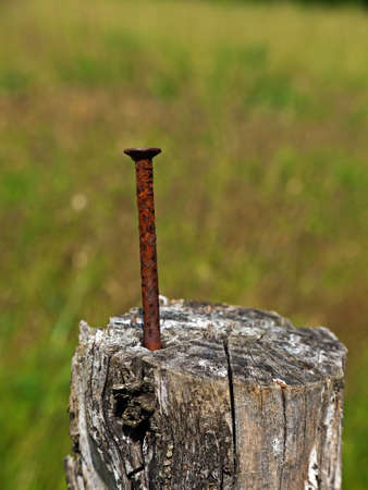 Rusty old nail in fencepost - rural agriculture detailの写真素材