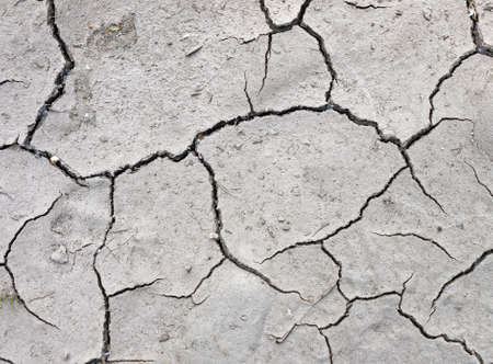 Drought - dry riverbed detailの写真素材