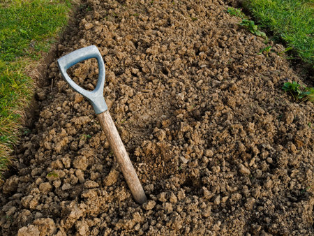 Aabandoned garden bed with broken fork - gardening problem