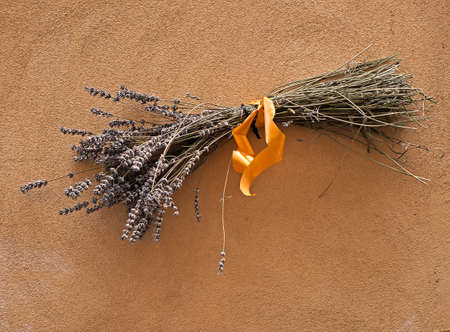 Bunch of lavender - decoration on wallの写真素材