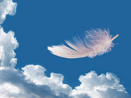 Floating featherの写真素材