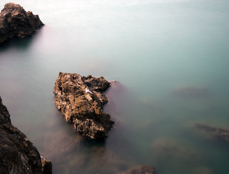 Evocative rcky coatline with gull and islandの写真素材