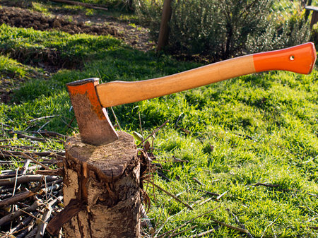 Differential focus  Wood chopping axe の写真素材