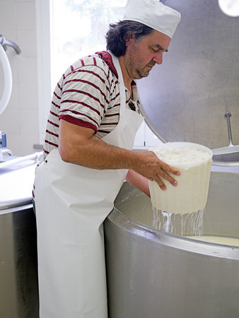 Italian farmer and organic cheese producer draining the cheese 