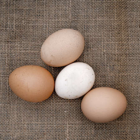 Rustic  Farm fresh eggs on rustic sacking background - hessian, jute, burlap の写真素材