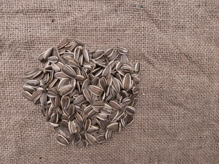 Sunflower seeds, bird food,  on hessian
