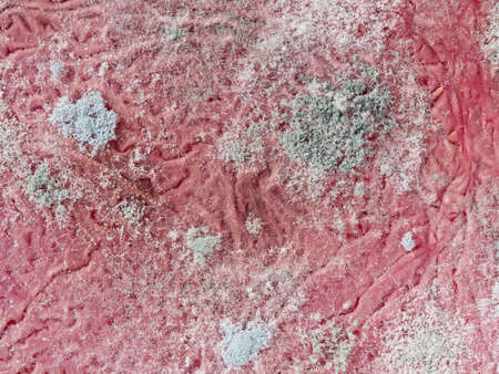 Very pretty macro of the mould which grow on old wine.の写真素材