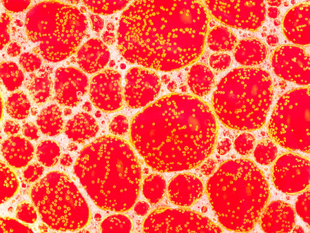 Unusual multi layer bubble background involves beetroot juice.の写真素材